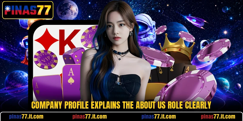 Company profile explains the about us role clearly
